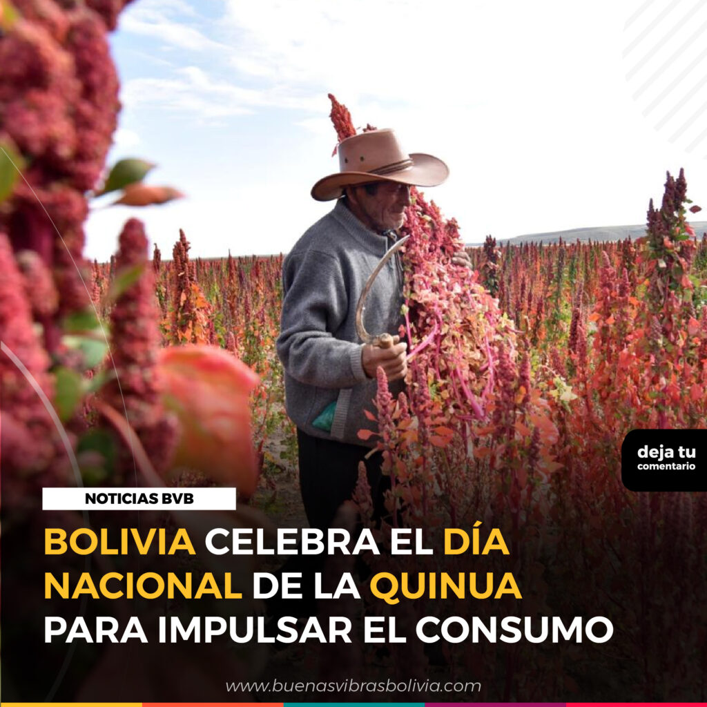 BOLIVIA CELEBRA EL DIA NACIONAL DE LA QUINUA PARA IMPULSAR EL CONSUMO